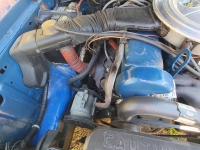 1980 Ford Pinto for sale in Port Alberni, British Columbia (ID-114093)