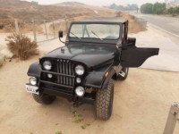 1980 Jeep CJ5 for sale in Michigan (ID-89206)