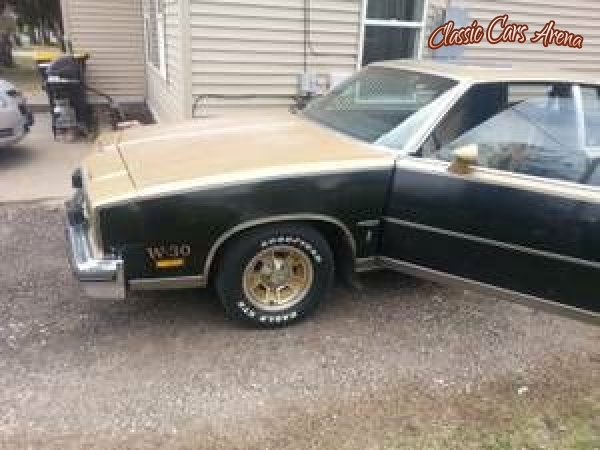 1980 Oldsmobile Cutlass for sale in Michigan (ID-9185) 1980 Oldsmobile Cutlass for sale in Michigan (ID-9185)