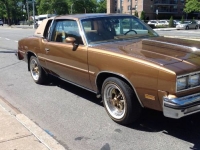 1980 Oldsmobile Cutlass for sale in Michigan (ID-91640)