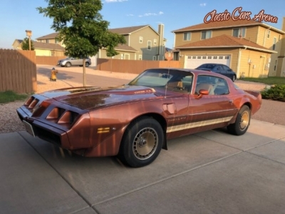 1980 Pontiac Firebird for sale