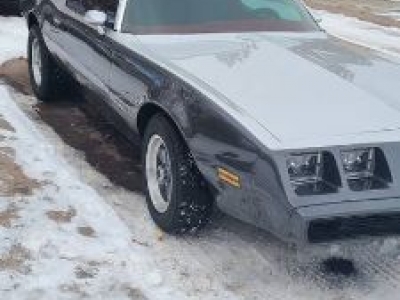 1980 Pontiac Firebird for sale