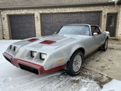 1980 Pontiac Firebird for sale