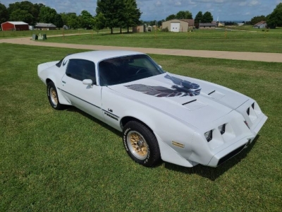1980 Pontiac Firebird for sale