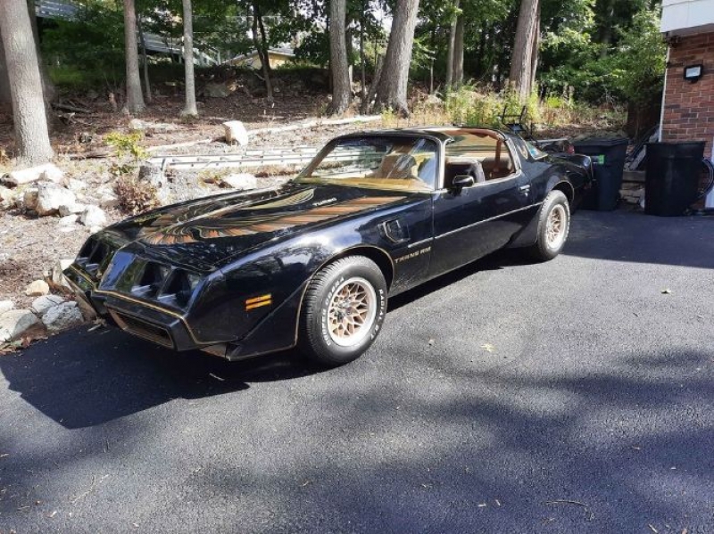 1980 Pontiac Trans Am for sale in Michigan (ID-92735)