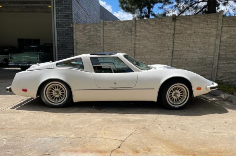 1980 Bradley GT for sale in Michigan (ID-102443)
