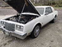 1980 Buick Riviera for sale (ID-100583)