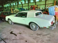 1980 Buick Riviera for sale (ID-100583)