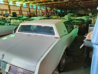 1980 Buick Riviera for sale (ID-100583)