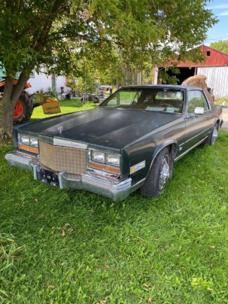 1980 Cadillac Eldorado for sale in Michigan (ID-120830)