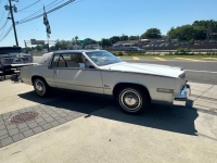 1980 Cadillac Eldorado for sale in Michigan (ID-130458)
