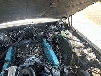 1980 Cadillac Eldorado for sale in Michigan (ID-130458)