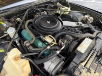 1980 Cadillac Eldorado for sale in Michigan (ID-162982)