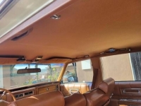 1980 Cadillac Fleetwood for sale in Michigan (ID-95921)