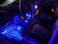 1980 Cadillac Seville for sale in Michigan (ID-137070)
