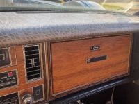 1980 Cadillac Seville for sale in Michigan (ID-137070)