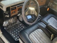 1980 Cadillac Seville for sale in Michigan (ID-137070)
