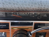 1980 Cadillac Seville for sale in Chicago, Illinois (ID-144314)