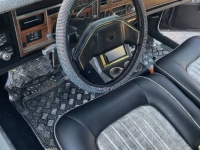 1980 Cadillac Seville for sale in Michigan (ID-146386)