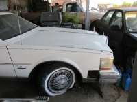 1980 Cadillac Seville for sale in Michigan (ID-164507)