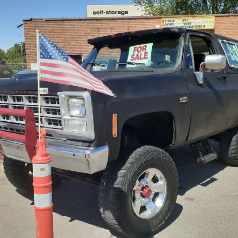 1980 Chevrolet Blazer for sale in Michigan (ID-110572)