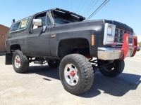 1980 Chevrolet Blazer for sale in Michigan (ID-110572)