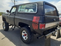 1980 Chevrolet Blazer for sale in Michigan (ID-110572)