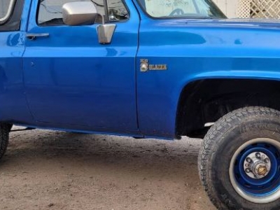 1980 Chevrolet Blazer for sale