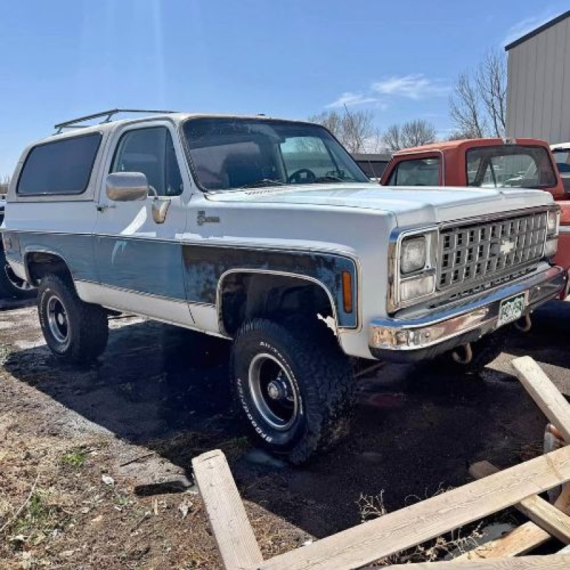 1980 Chevrolet Blazer for sale in Michigan (ID-141104)