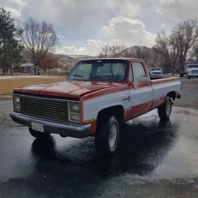 1980 Chevrolet C/K 1500 for sale in Michigan (ID-105207)