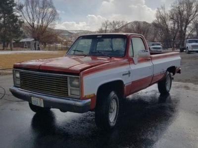 1980 Chevrolet C/K 1500 for sale
