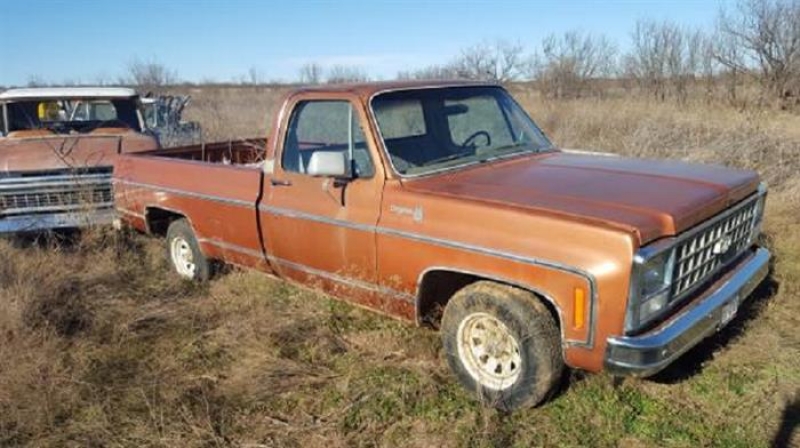 1980 Chevrolet C10 for sale (ID-100069)