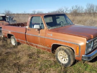 1980 Chevrolet C10 for sale