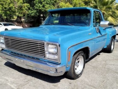 1980 Chevrolet C10 for sale