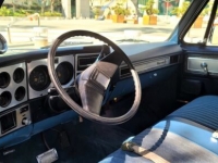 1980 Chevrolet C10 for sale in Michigan (ID-102784)