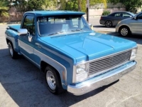 1980 Chevrolet C10 for sale in Michigan (ID-102784)