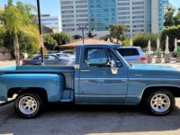 1980 Chevrolet C10 for sale in Michigan (ID-102784)