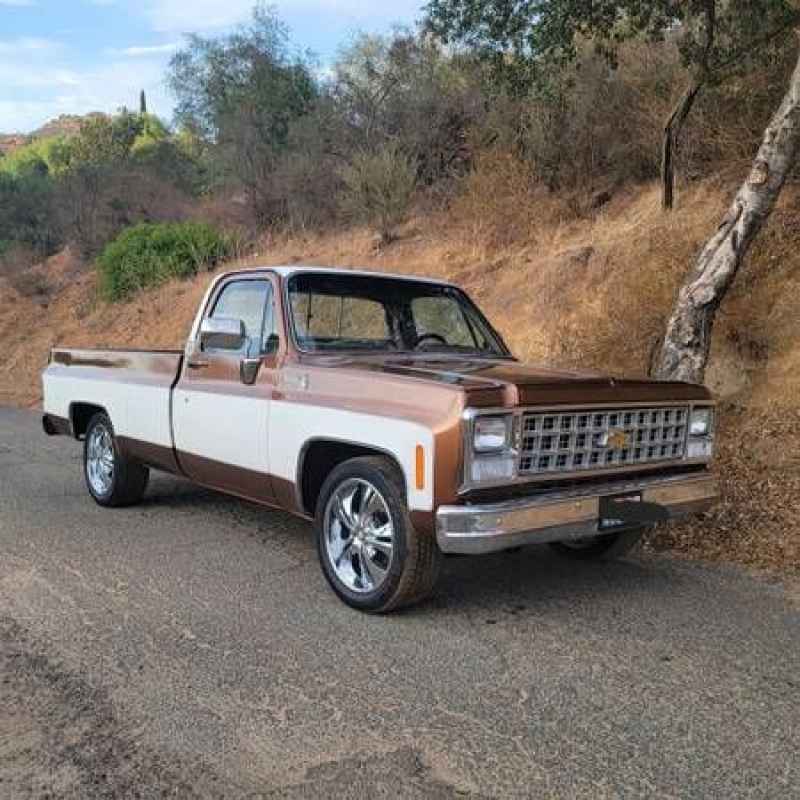1980 Chevrolet C10 for sale in Michigan (ID-107823) 1980 Chevrolet C10 for sale in Michigan (ID-107823)