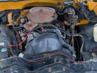 1980 Chevrolet C10 for sale in Michigan (ID-110147)
