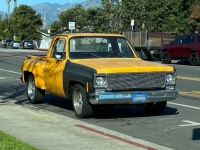 1980 Chevrolet C10 for sale in Michigan (ID-110147)