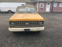 1980 Chevrolet C10 for sale in Michigan (ID-110147)
