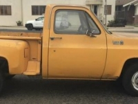 1980 Chevrolet C10 for sale in Michigan (ID-110147)