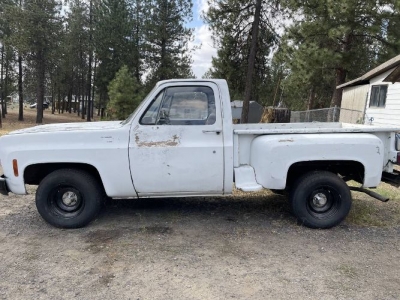 1980 Chevrolet C10 for sale