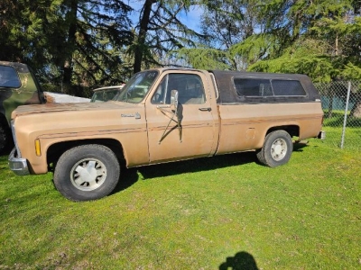 1980 Chevrolet C10 for sale 1980 Chevrolet C10 for sale