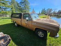 1980 Chevrolet C10 for sale in Michigan (ID-139868)