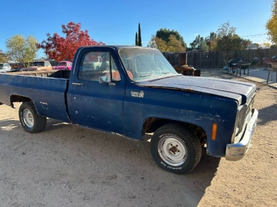 1980 Chevrolet C10 for sale