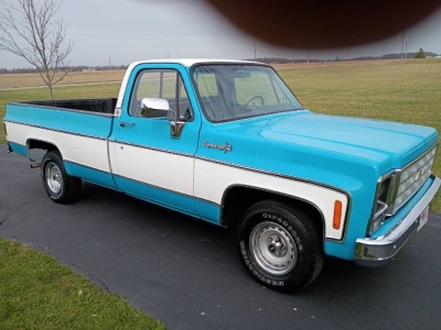 1980 Chevrolet C10 for sale