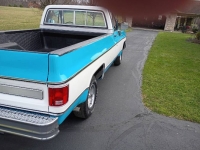 1980 Chevrolet C10 for sale in Michigan (ID-162250)