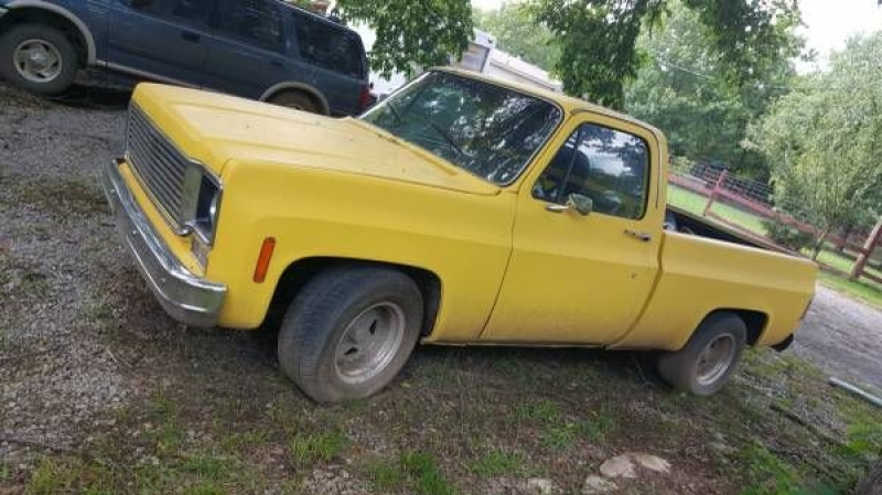 1980 Chevrolet C15 for sale (ID-100111) 1980 Chevrolet C15 for sale (ID-100111)
