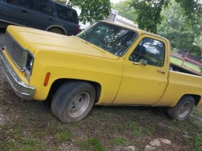 1980 Chevrolet C15 for sale